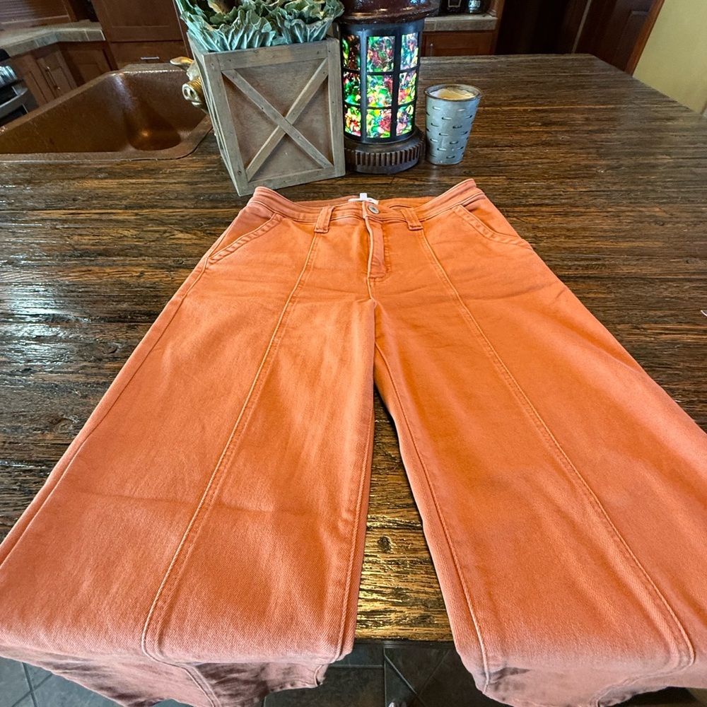STS Blue 29 Stylish Front Seam Detailing Diane High Rise Rust Pants Wide Leg - Picture 3 of 17